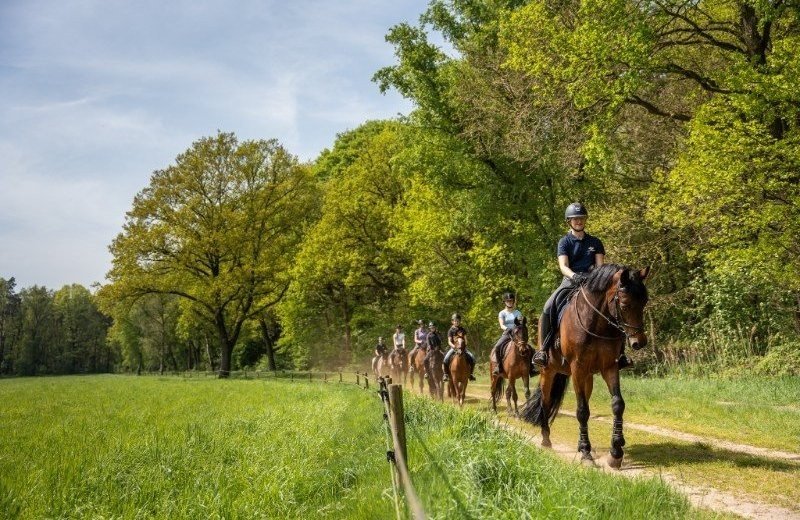 Extra paardrijlessen tijdens Hemelvaart & Pinksteren 🐎