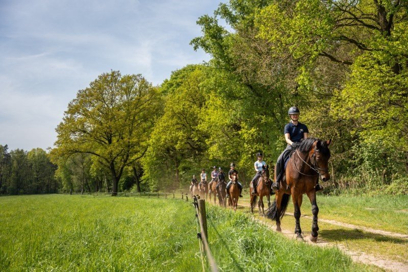 kleine camping twente boeken