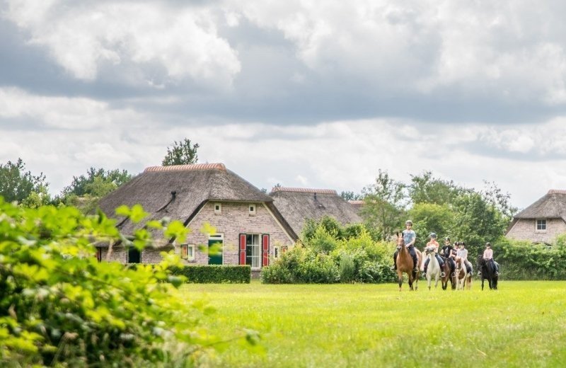 Op vakantie met je paard