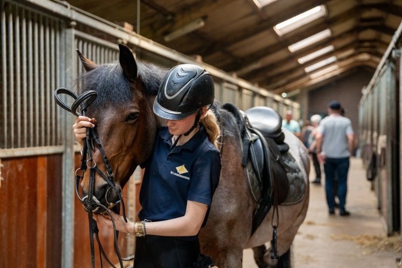 paardenvakantie nederland