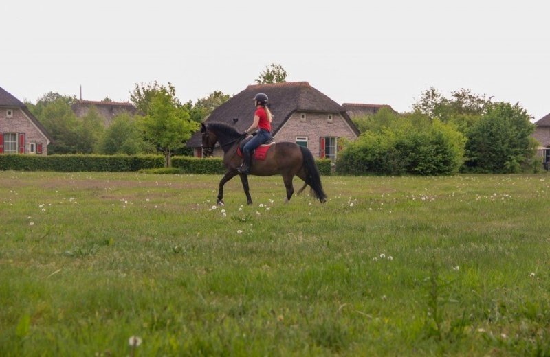 Paardensportcentrum de lourenshoeve 9