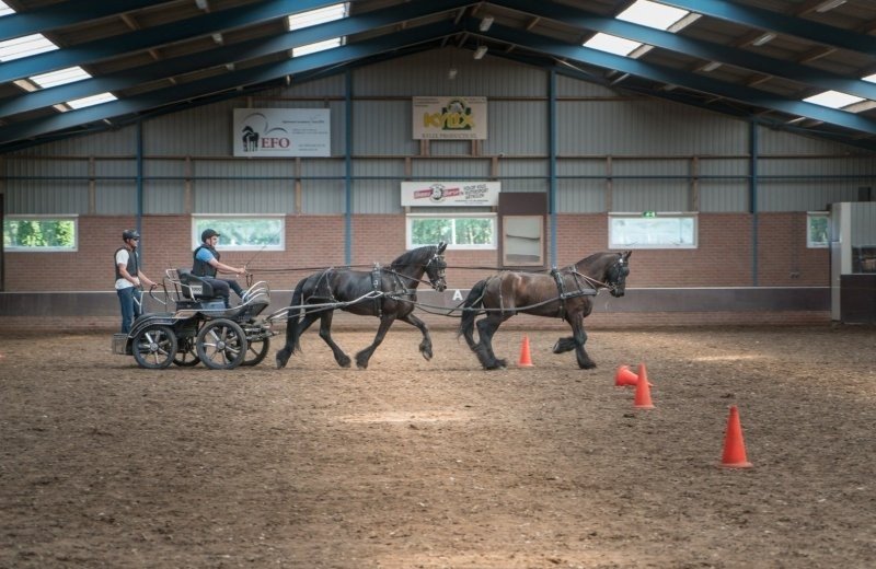 Agenda paardensportcentrum