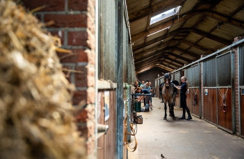 Pensionstalling paard overijssel