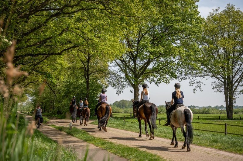 zomervakantie twente camping