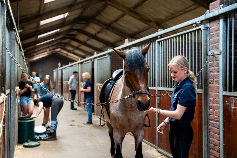 zomervakantie twente
